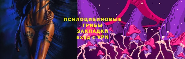 jwh Саяногорск