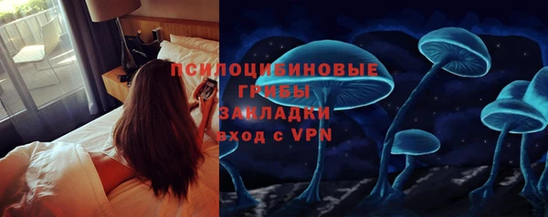 мескалин Инта